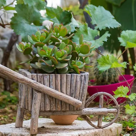 Peruzovic 1 Сплит