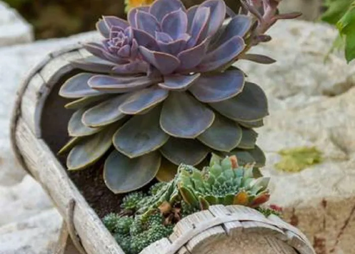 Гостевой дом Peruzovic 1 3*