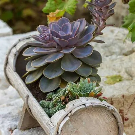 Gasthof Peruzovic 1 3*